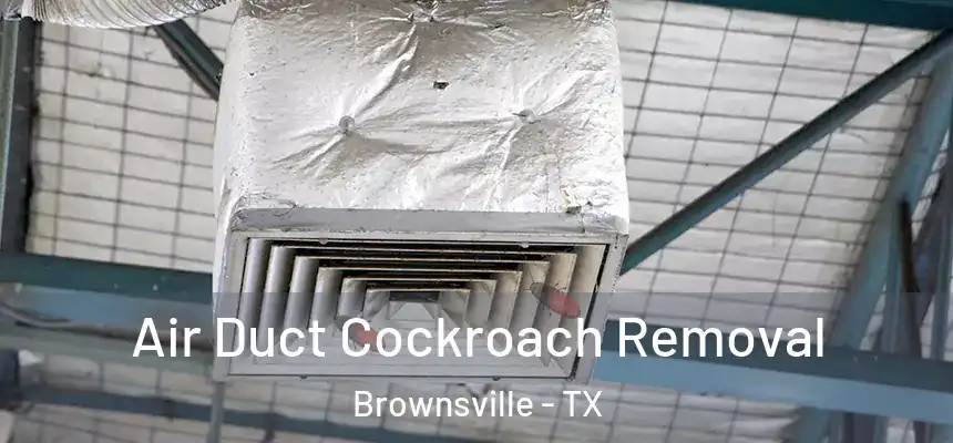  Air Duct Cockroach Removal Brownsville - TX