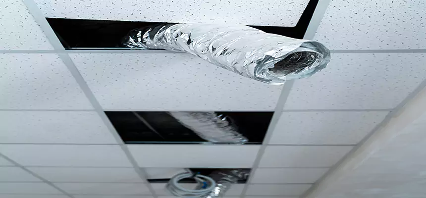 Our Air Duct Pet Hair Removal Services in Brownsville, TX