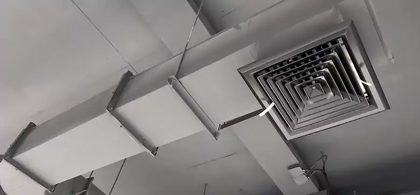 Our Pest Removal From Ducts Services in Brownsville, TX