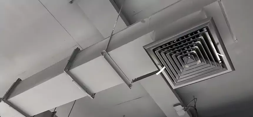 Our Rodent Droppings In Vents Services in Brownsville, TX