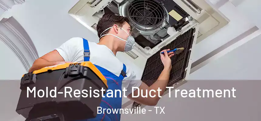  Mold-Resistant Duct Treatment Brownsville - TX