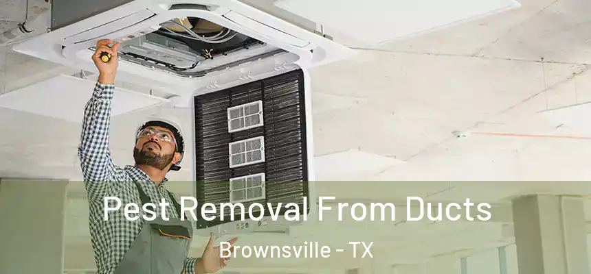 Pest Removal From Ducts Brownsville - TX