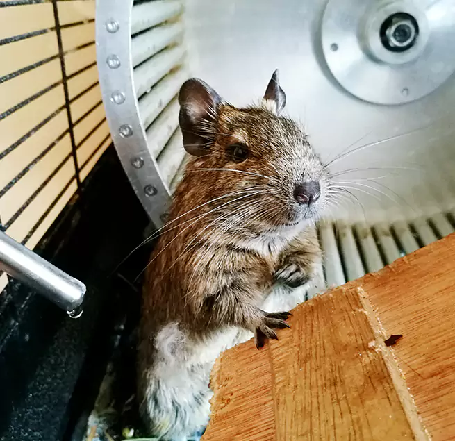 Why Homeowners & Businesses Trust Us Brownsville, TX