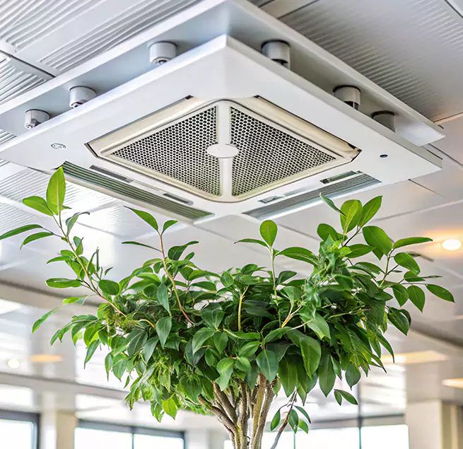 Why Homeowners & Businesses Trust Us in Brownsville, TX