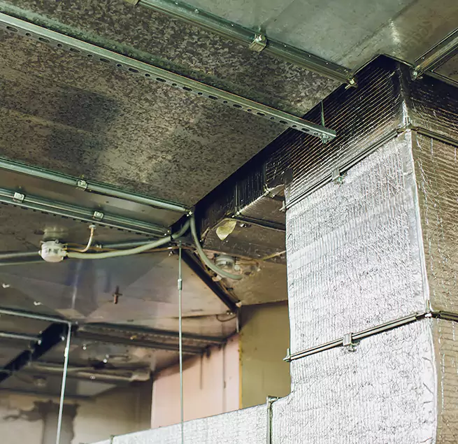 Why Homeowners & Businesses Trust Us in Brownsville, TX?